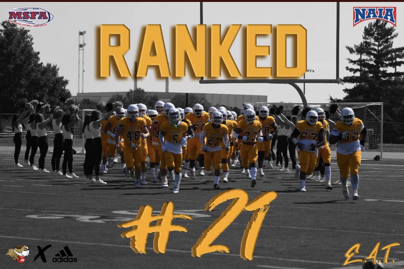 BrandauWill's tweet photo. 100% committed!💛🤎Thank you for the great opportunity! @USFSaintsFB @USFSaints @coachmiller3634 @JcurryJoe https://t.co/qhyOWSj47w