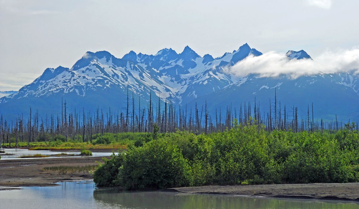 "If Oil is Drilled in Bristol Bay", by dg nanouk okpik: my favorite line, "from death she/I smell/s of arsenic, the Chugach Range... stifled and sane, comes to prey?" this reflects on how it feels to have a place like home turn into something so unfamiliar #engl739
