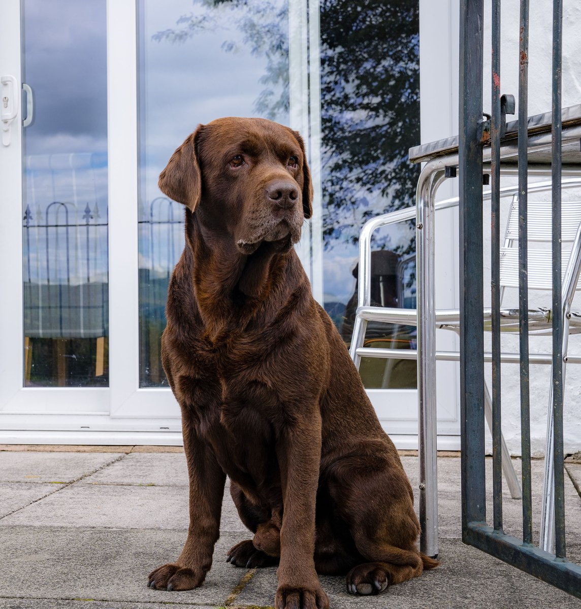 WeAcceptPets's tweet photo. ๐ Book a stay at Templand Cottages in November or December and receive ยฃ100 off. Message them direct to book to receive this fantastic discount.๐
https://t.co/04jTCjKOlZ
#Templand #Thornhill #Dumfries #HolidayCottages #PetFriendly #FamilyFriendly #HotTub #SwimmingPool #Lochs https://t.co/lVHFPP7h3T