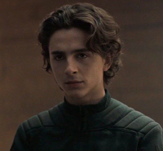 timothée as paul atreides the only thing that keeps me going...