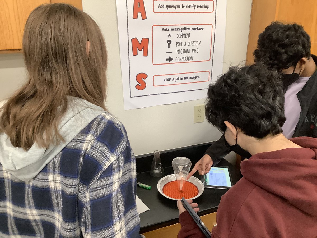 MrsNeeraJacksonTweets tweet media