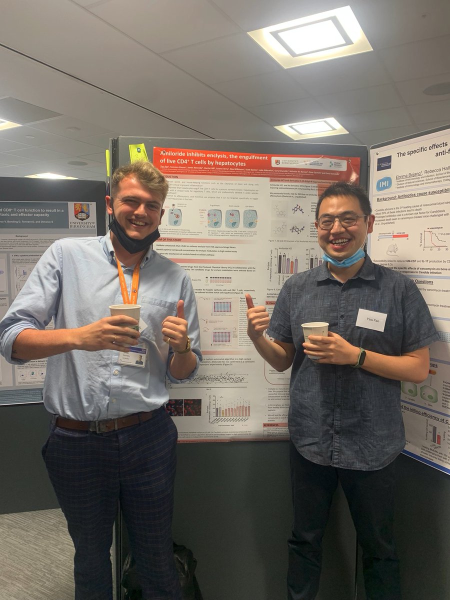 Fantastic to catch up with <a href="/KevinYYFan1/">Kevin Y.Y.Fan</a>, from my MSc lab with <a href="/ZaniaStamataki/">Dr Zania Stamataki</a>, over his fantastic poster illustrating our work on enclysis-modulating repurposed drugs from the last couple of years. <a href="/ImmunologyUoB/">Immunology and Immunotherapy</a>