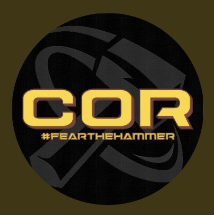 PROLeagueRumors's tweet photo. 🚨SOURCES:  Grumblings are growing amongst @PROFBLeague owners about @CornellThunder not using the team’s official logo on the team’s official Twitter page.  Many are looking to Commissioner Valella to levy fines for this unsanctioned rebranding.  Stay tuned… 👀 https://t.co/4O4I0tTeVy