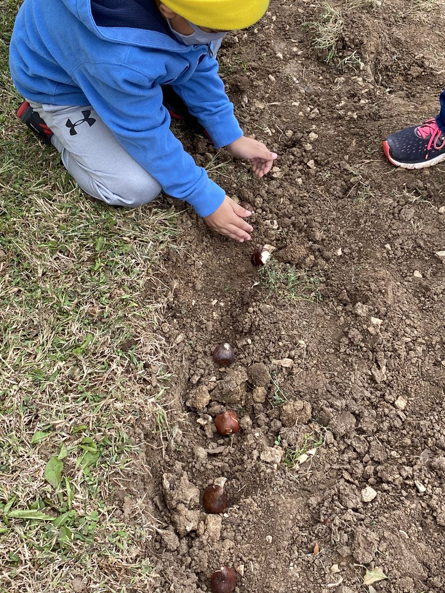 Mrs. D’alexis lead our students through a promise to be safe and choose to be drug and alcohol free. Then they planted Tulip bulbs. Their bloom in spring remind students of their promise.