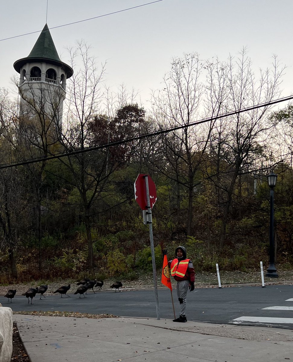 Even the neighborhood turkeys love Pratt school. ⁦<a href="/MPS_News/">Minneapolis Public Schools</a>⁩