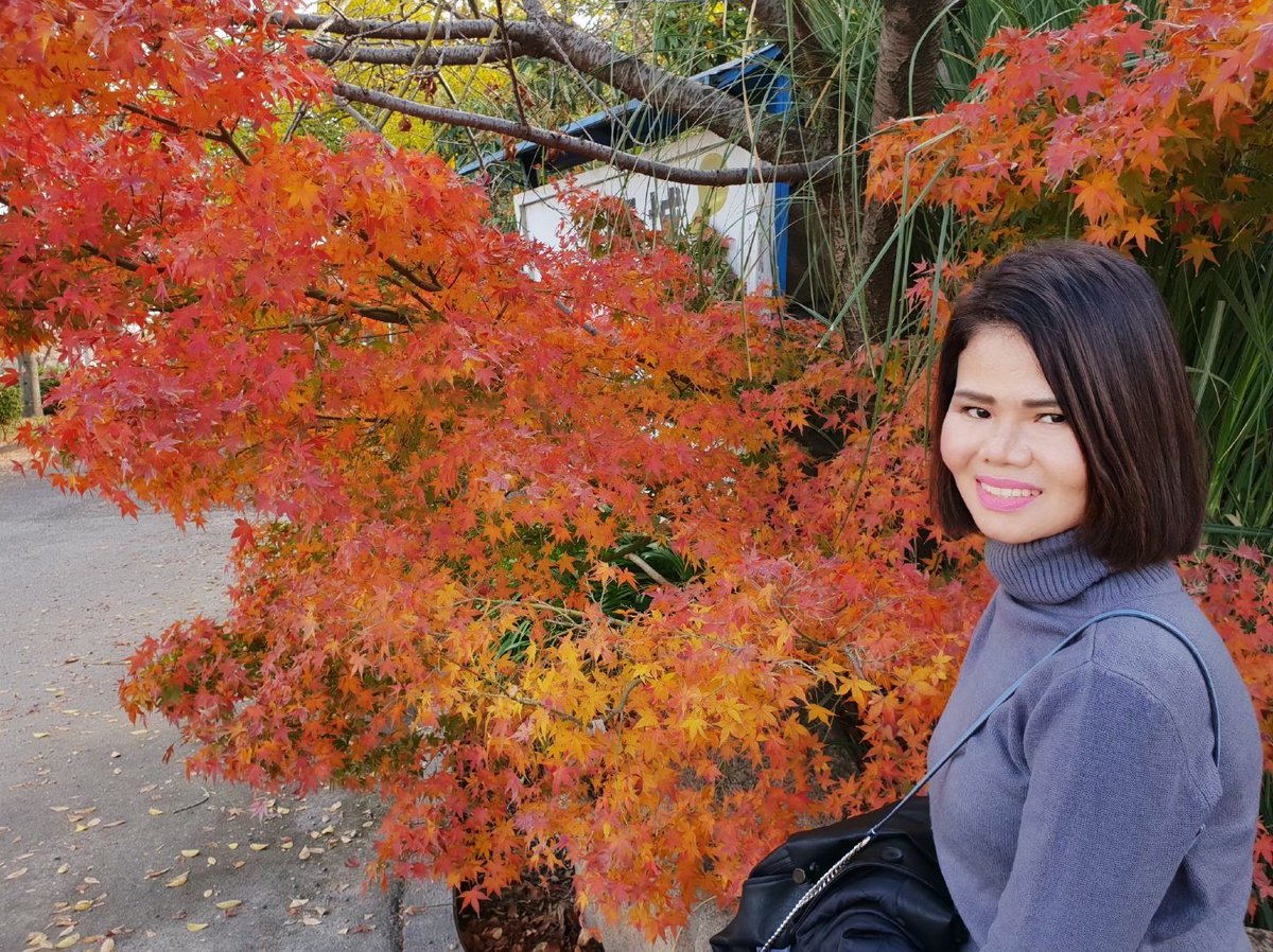 kamonwany_noy's tweet photo. 🇯🇵🍂🍁 https://t.co/wB4sDm2jjK