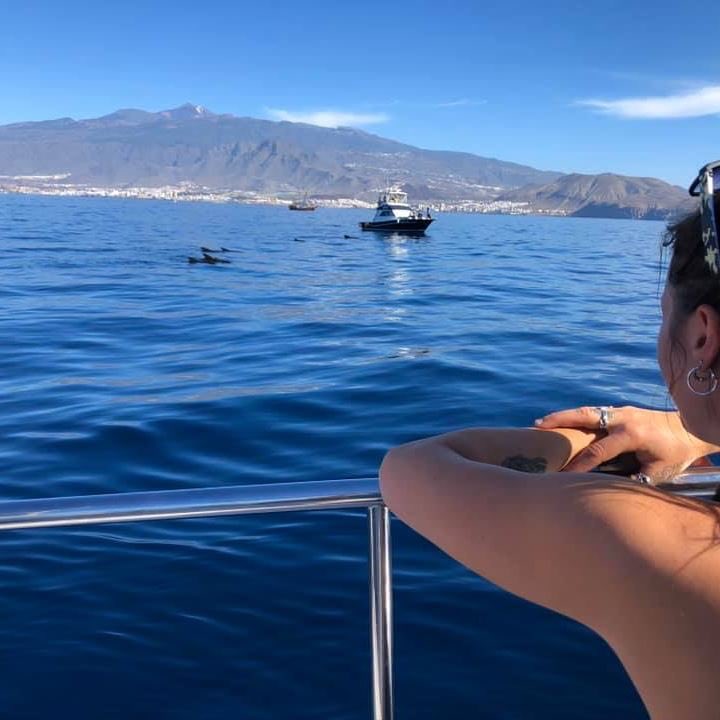 ☀️☀️ Sun, sea, whales, and Mt Teide - Tenerife is awful in November!
Choose a boat trip in Lanzarote, Fuerteventura, Gran Canaria, and Tenerife the book today with VayCay... get the APP now

#sun #Tenerife #wintersun #lazylife #summervibes #boattrip #VIP #experiences #explore
