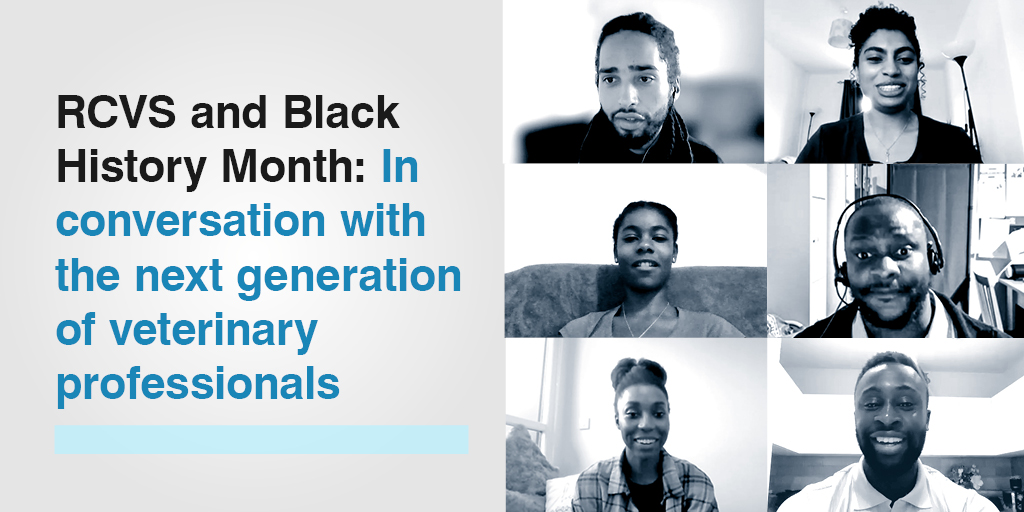 Our latest interview is with <a href="/mandisagreene1/">mandisagreene</a> and recent <a href="/RoyalVetCollege/">Royal Veterinary College (RVC)</a> grad Stephanie-Rae Flicker. Hear Stephanie-Rae talk about balancing her vet role and her art, how she articulated her ambitions to a career advisor and her role with <a href="/AnimalAsp/">Animal Aspirations</a> ow.ly/jlW950GG6Gh