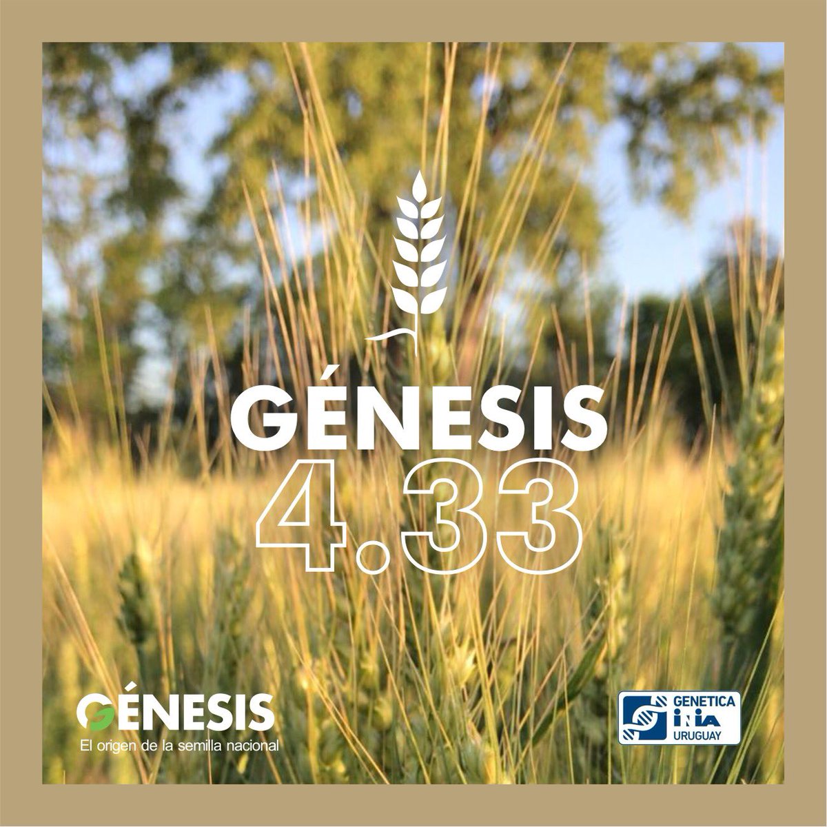 Semillas Génesis tweet media