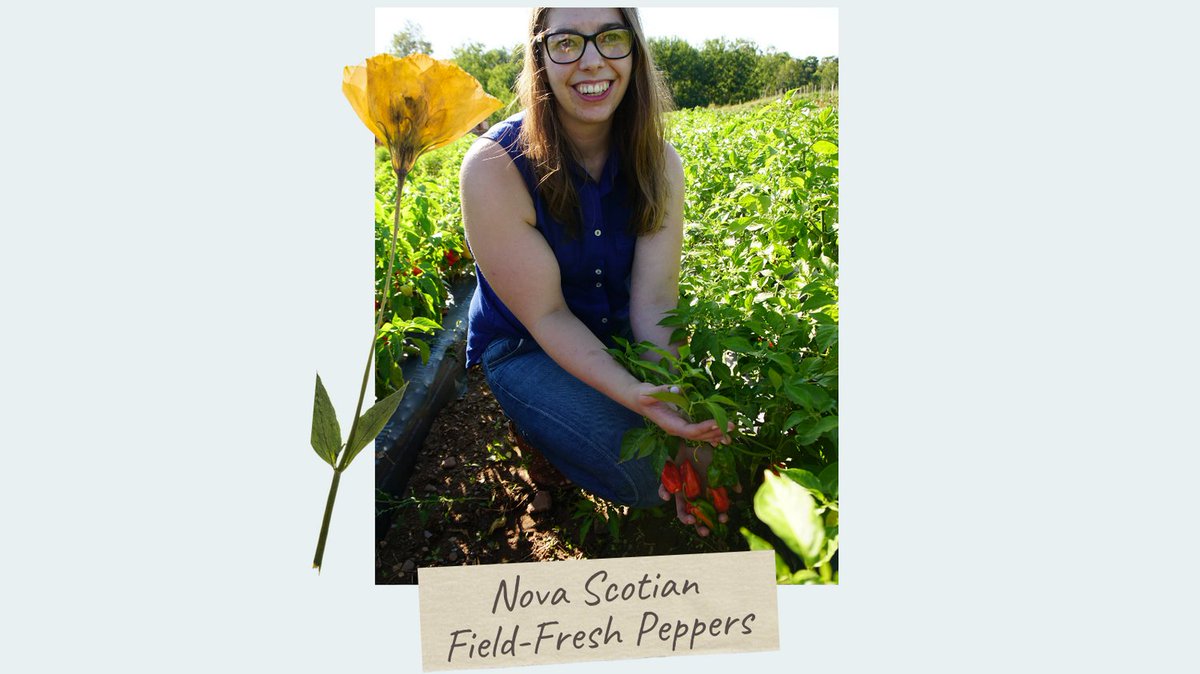 gallopingcows's tweet photo. We’re very proud to have Nova Scotian field-grown peppers in our gourmet products. Taste the locally grown field fresh peppers in our all natural line of 6 Galloping Cows Pepper Spreads! #fancysnacks #TasteofNS #GetYourHandsOnLocal #GetYourHandsOnNovaScotia https://t.co/qxJoCi0M9s