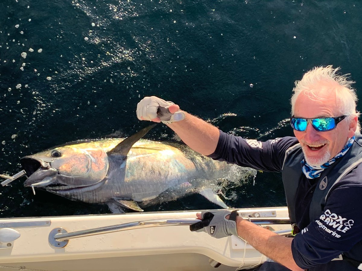 SussexAngling's tweet photo. Now that the 2020 Blufin CHARt tagging programme is drawing to a close here a my thoughts on what happens next #bluefintuna #saltwaterboatangling #cornwall #boatangling #cornishcharterboatangling #looe #Falmouth #Mevagissey #bluefintunauk #anglingtrust 
https://t.co/kVcfyXWP2l https://t.co/AIy8G7imK0