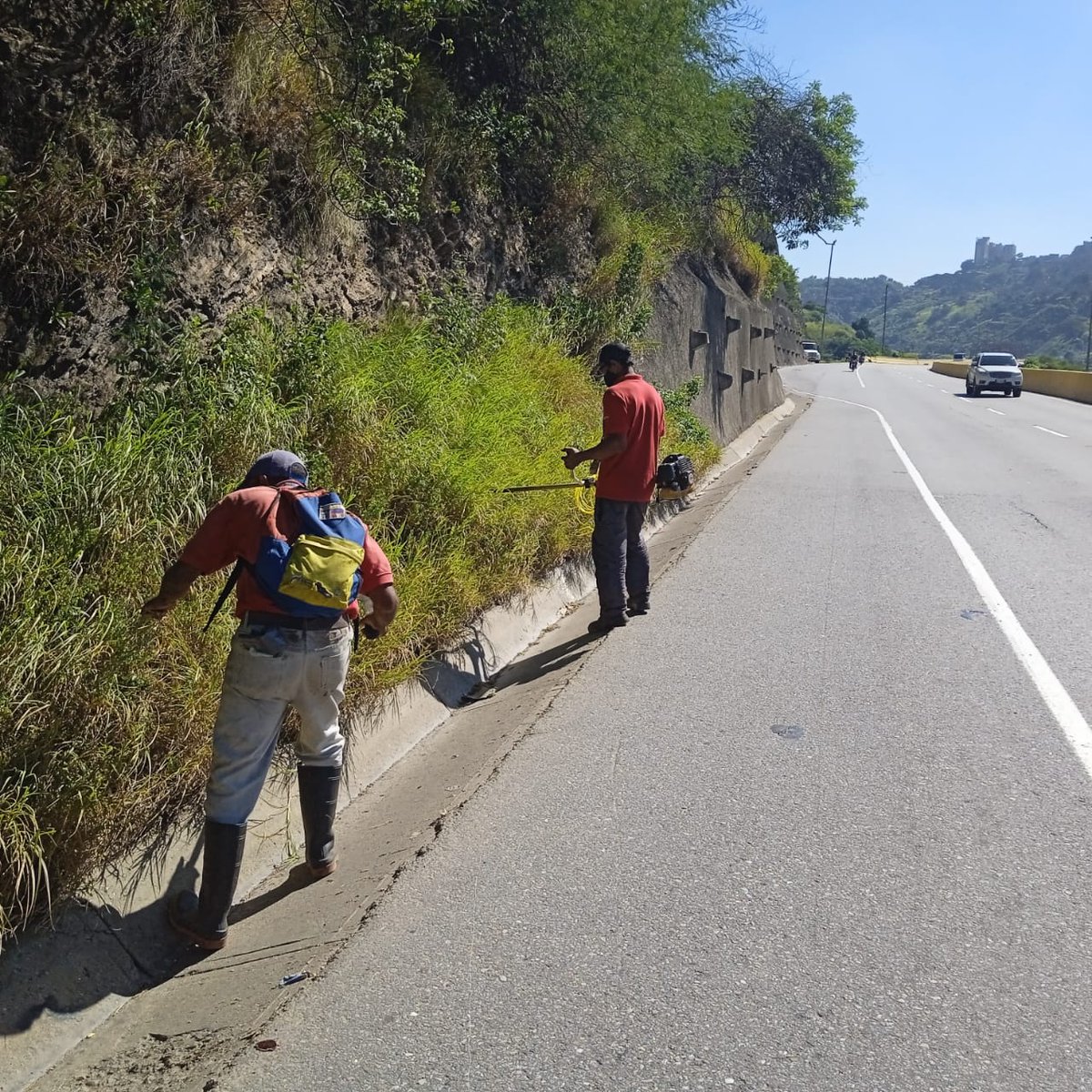 mintransporteve's tweet photo. #Entérate 🚧👷‍♂️ En el marco del Plan Gran Caracas Patriota, Bella y Segura, trabajadores del @IAIM_VE realizaron labores de limpieza y mantenimiento a la autopista que conecta al edo. La Guaira con la capital del país. ¡Seguimos Avanzando!
@NicolasMaduro @HAbreuMRT @buhopsuv https://t.co/sYaOK7NKbl