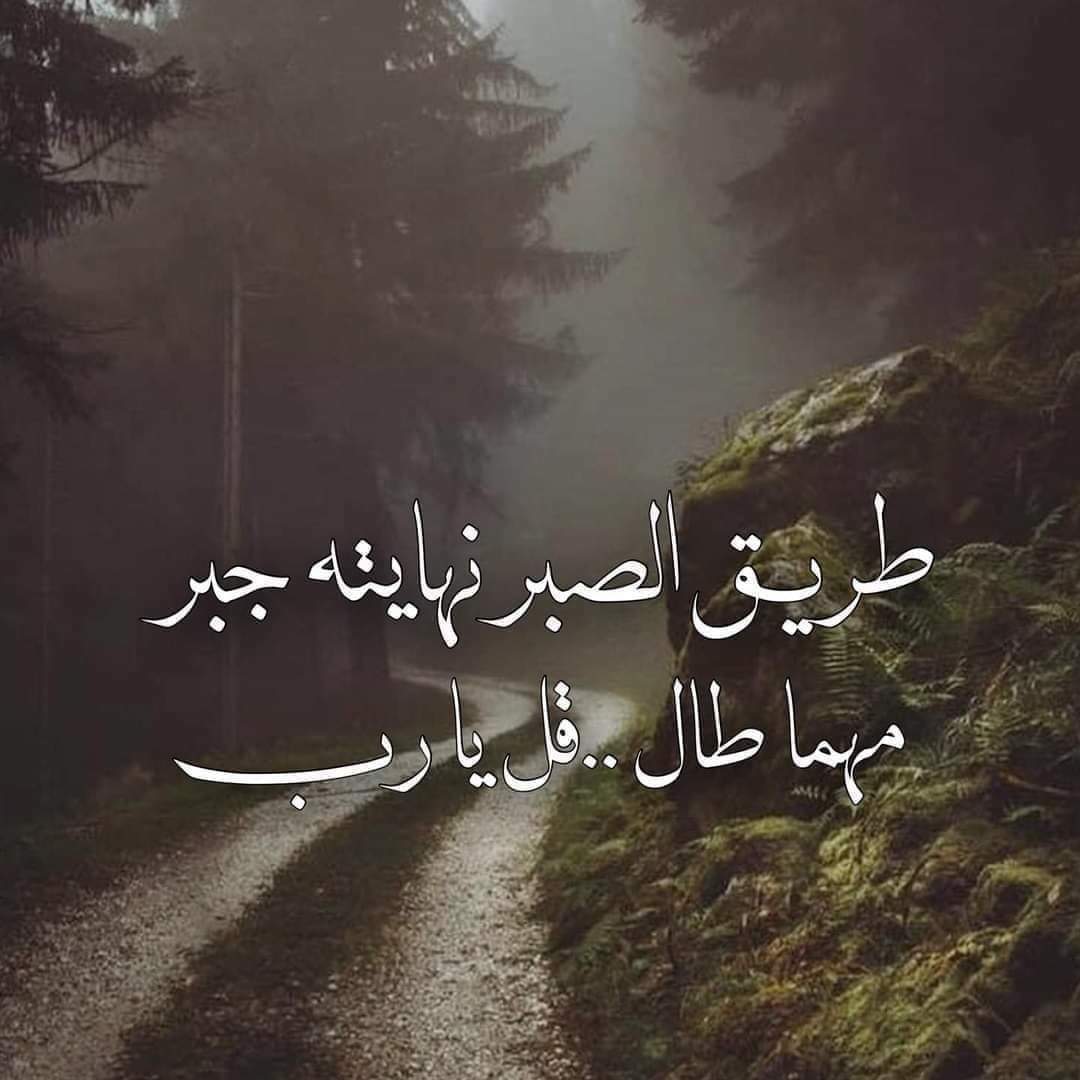 Jana19917's tweet photo. @ahmed_khalaf93 الى رئيس مجلس الخدمة 
كل يوم يتم تأجيل اعلان الاسماء 
والتأخير من غلق الاستمارة الى الان 30 يوم !! 
لماذا هذا التأخير اين وعودكم بالانصاف 
اين الامانه التي تحملتوها ؟! 
#وين_وعدك_يمحمود_التميمي https://t.co/pAnBCEfyyD https://t.co/tdS4CqbARu