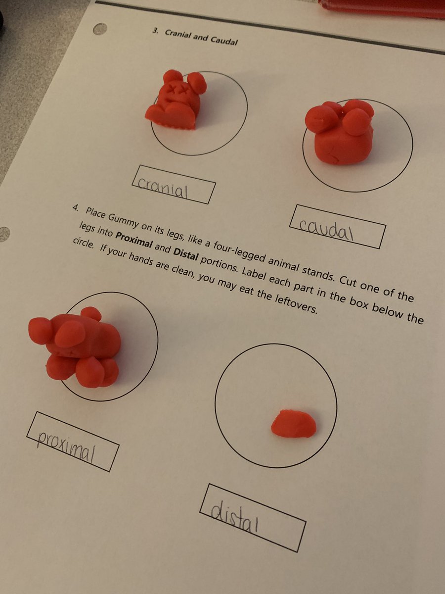 Mrs.V's Classroom tweet media