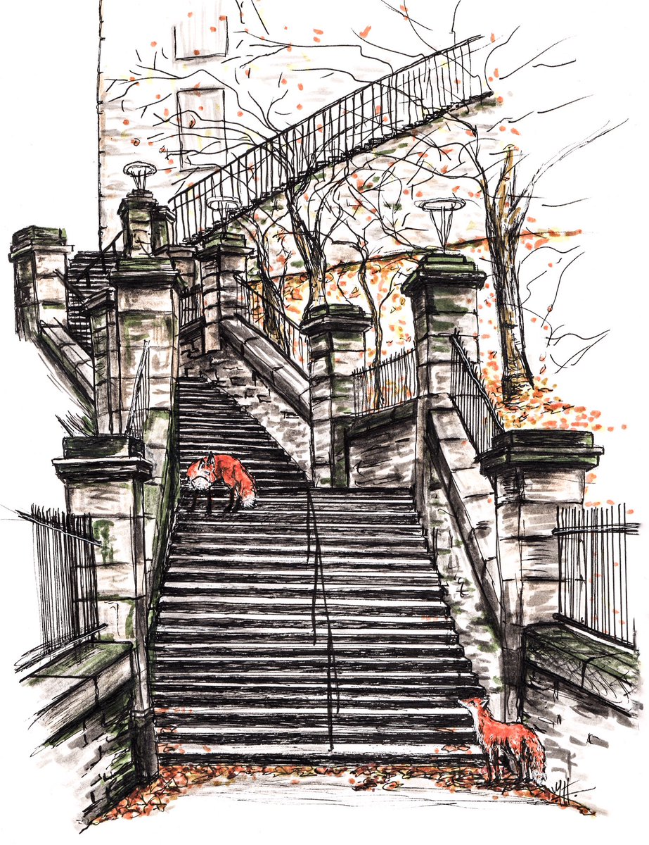 EdinburghFoxInk's tweet photo. Playing around with my Inky drawing of the fox pair. Quite like taking it to monochrome and orange colour vibe with the foxes and autumn leaves popping. This will be available as prints very soon. #thenewsteps #edinbrugh #foxes #urbanfox #foxpair #wildlife #urbanwildlife https://t.co/gB8eMfiWjz