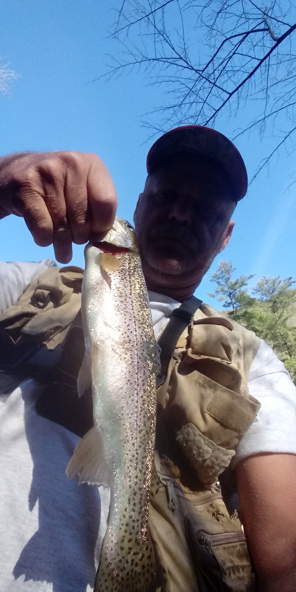 Billy's Outdoors tweet media
