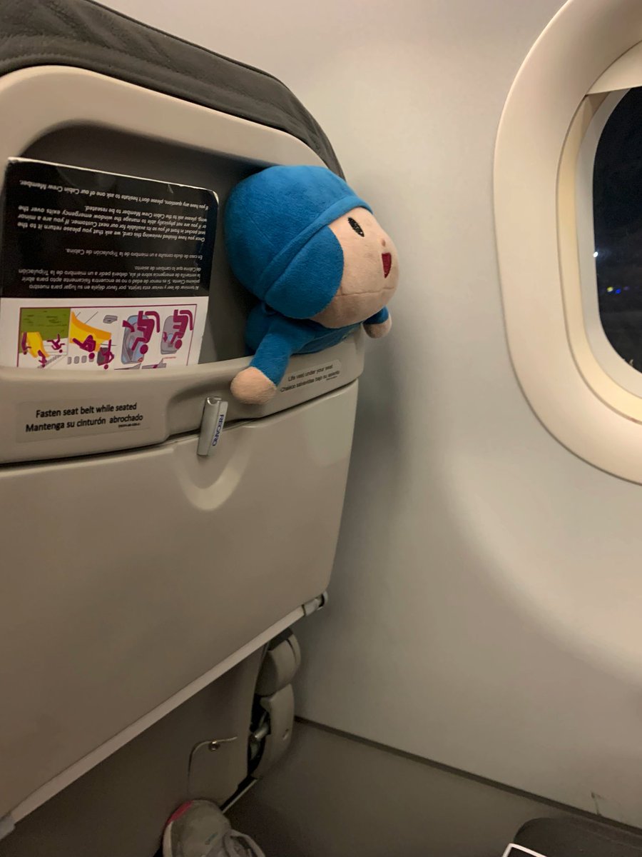 TurellaClaU's tweet photo. @viajaVolaris mi hija olvidó ayer a Pocoyó en el avión (3 nov, vuelo 729 GDL-CDMX 10pm fila 4) y está muy triste! Dejé mi tel en el módulo de objetos perdidos, ayúdenlo a volver a casa please 🙏🏻 #todossomospocoyo https://t.co/92A3Yv6JuC