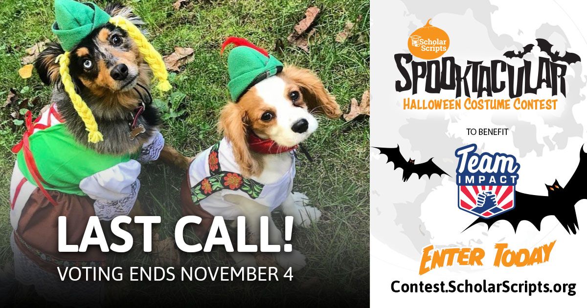 ScholarScripts tweet media