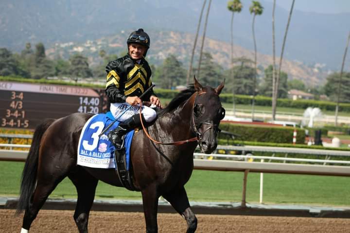 HORSERACING1002's tweet photo. BAL A BALI (PUT IT BACK-IN MY SIDE BY CLACKSON) Nacido en Brasil Septiembre 22 2010 criado por Santa Maria de Araras. Propiedad de Calumet farm entrenado por Richard Mandella con record 26-15-1-4. 1,258,268 dls gano shoemaker mile, Frankie E. Kilroe, Mario Azevedo, #BalABali https://t.co/HbWaKb5sxr