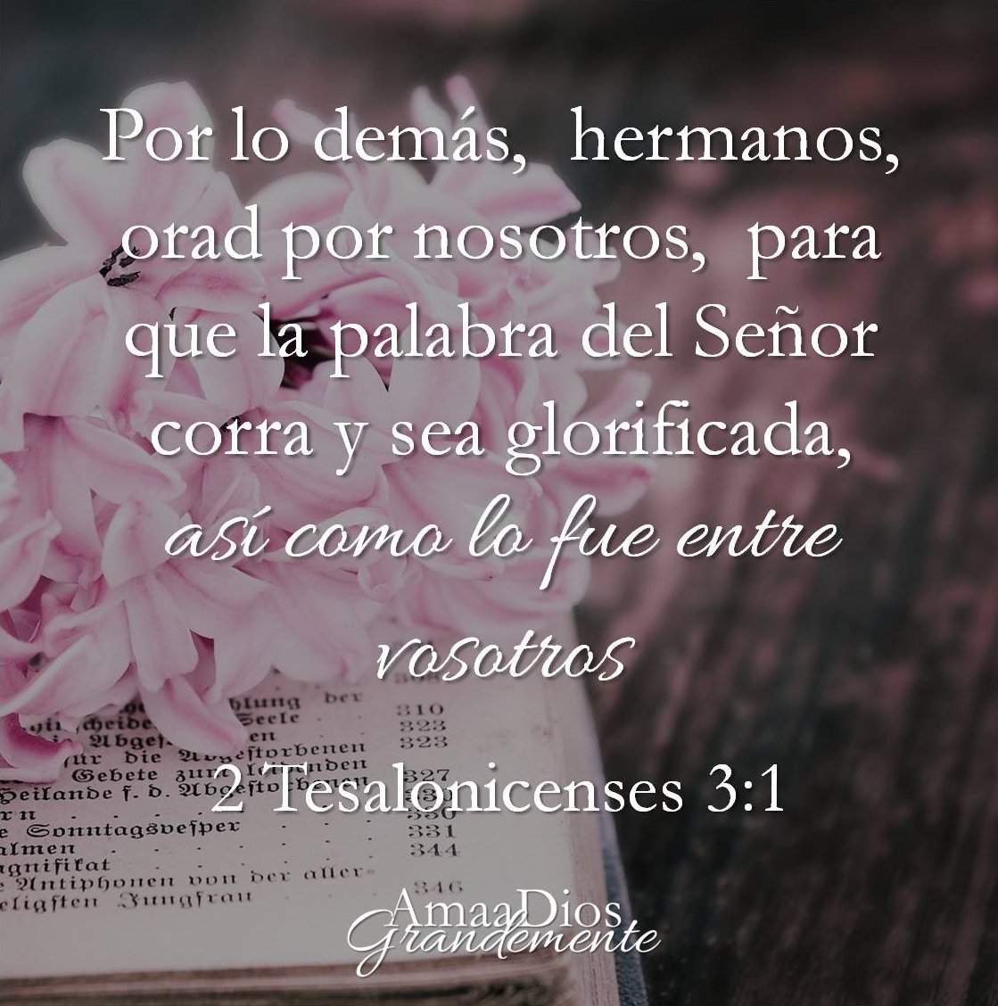 MilSan39's tweet photo. Un discípulo de Cristo debe procurar que la Palabra de Dios corra libremente como el agua en un mundo árido y seco, y el resultado: dará verdor a la vida de personas que mueren de sed y los sacará de una vida desordenada. #rpsp #PrlmeroDios https://t.co/REPJ6WaGog