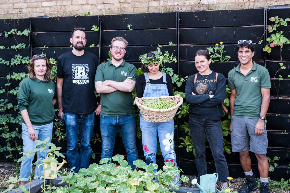 BrixtonBrewery's tweet image. Our new LTD EDN is an aromatic Green Hop Pale made using hops grown at @VauxhallFarm. All proceeds from this fresh-as-they-come brew will be donated to the farm.