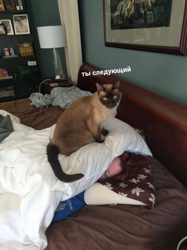 RussianMemesLtd's tweet photo. you're next https://t.co/pxzyCQIWze