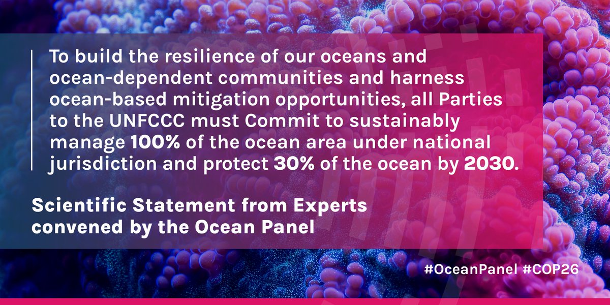 oceanpanel's tweet photo. BREAKING: 100 scientists have signed the Scientific Call for #Oceanbased Action to tackle the #climatecrisis at #COP26Glasgow.

Read it here 👇
https://t.co/cws2lIKOwH https://t.co/hemqiciWaA