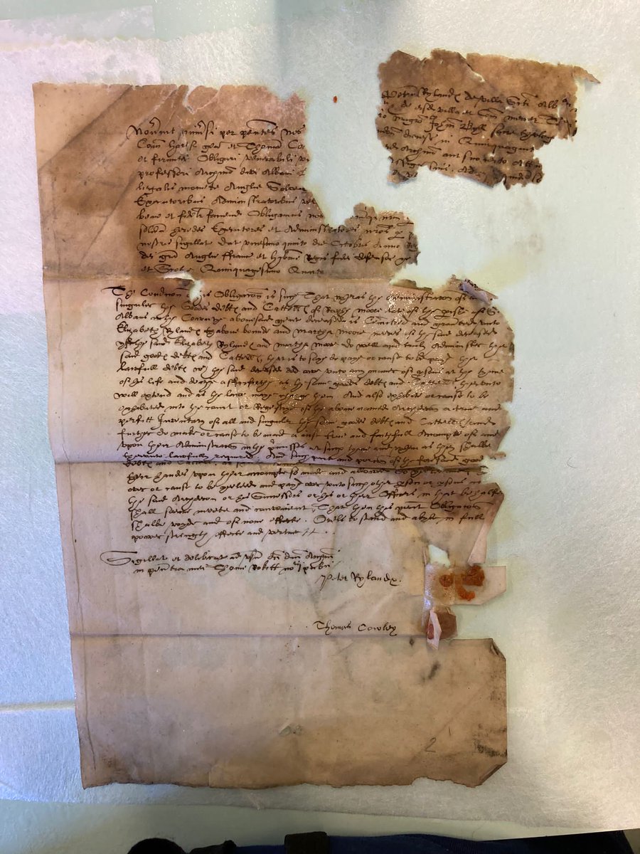 Herts Archives tweet media