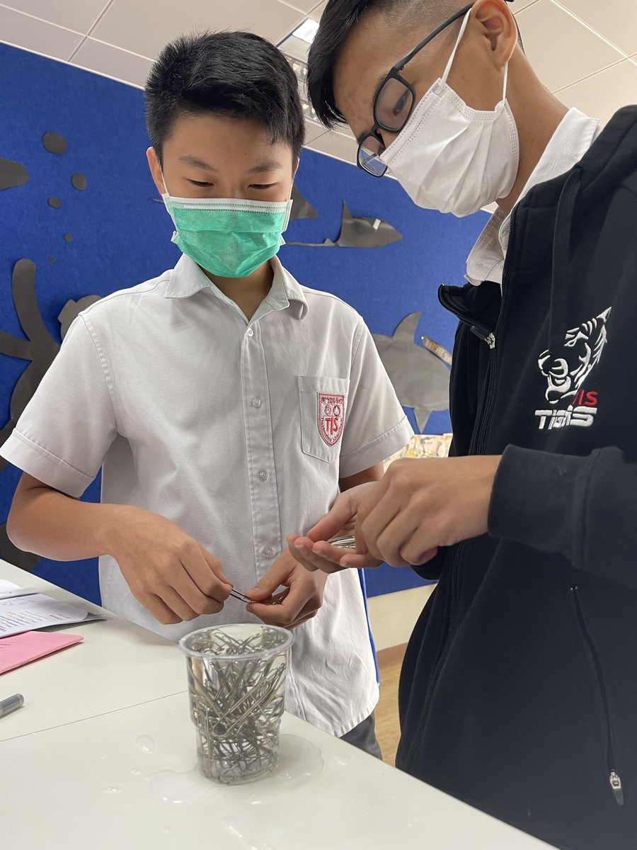 MakLydia's tweet photo. How strong are hydrogen bonds? Grade 10s tested their predictions by dropping paper clips into cups of water to find out 😮 #tismacao #tisscience https://t.co/FsCTBQB1nP