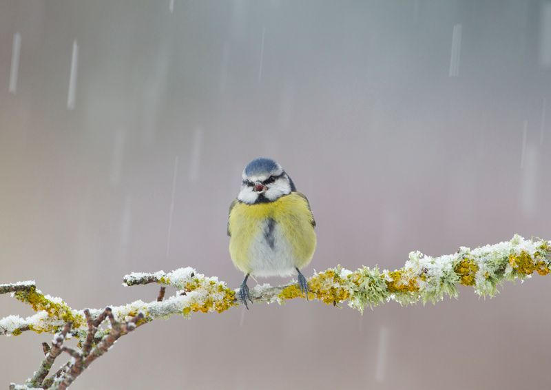 Devon Wildlife Trust tweet media