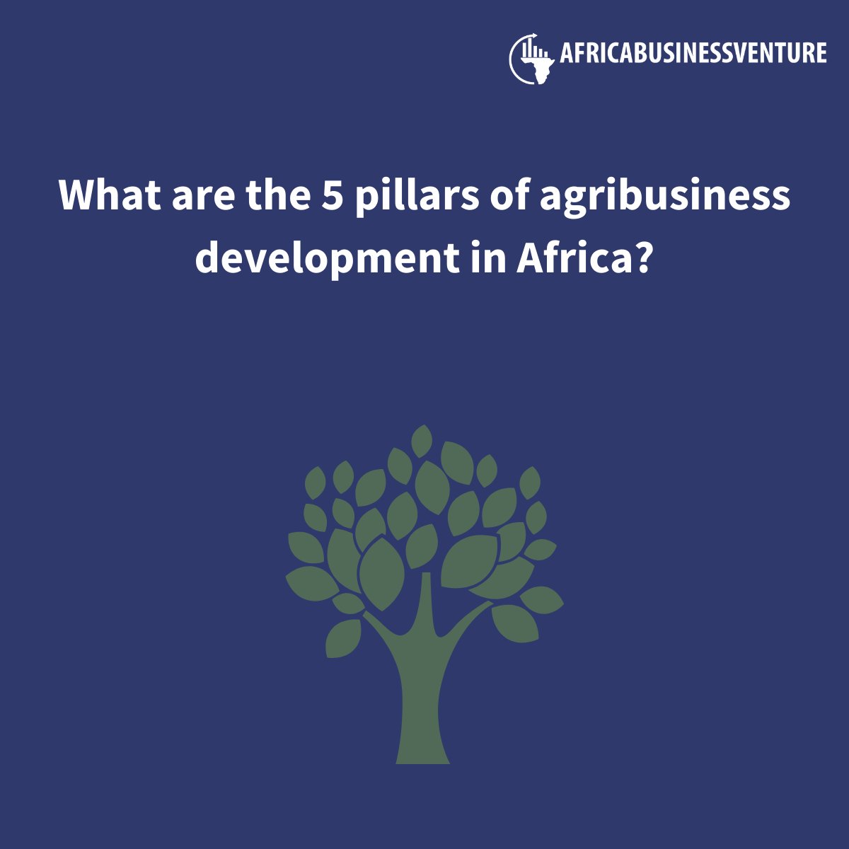Africabv's tweet photo. 5 Pillars of Agri-Business Development in Africa?

#africabusinessventures #businessconsultants https://t.co/SYyJ1vweqa