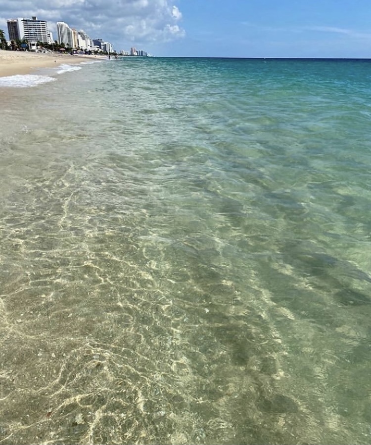 FtLauderdaleMag's tweet image. Let's seas the day! 🌊

#morning #happy #southflorida #florida #november #fall #beach #sun #laudy #wakeup #love #amazing #beautiful #thanksgiving #lauderdale #coffee #photooftheday #broward #thursday #tbt #laudy #visitflorida #photography #visitlauderdale #solauderdale