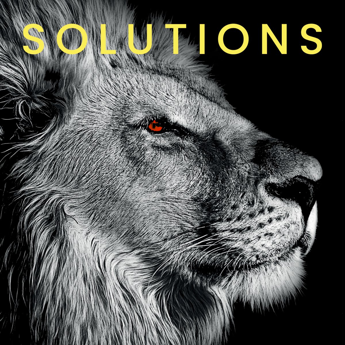 Read the latest issue of #PrintSolutions magazine here: earthisland.co.uk/earth-island-m…
Also back issues of #PackagingSolutions #GreenSolutions and #IndPrint 
Plenty of ideas to get your business roaring.