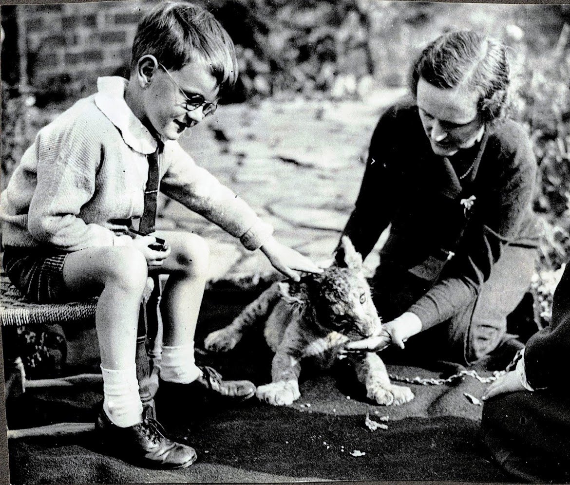 Picture Book Book Club tweet media