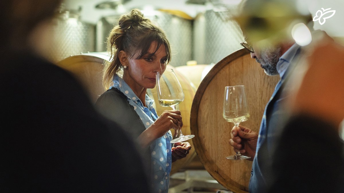 🇮🇹
Domani torna #SiamoVignaioli! I vignaioli del Trentino ti aspettano nelle splendide sale di Palazzo Roccabruna per celebrare la fine della vendemmia e l’inizio di una nuova annata in cantina.

[📍<a href="/AptTrento/">DiscoverTrento</a> | 📷 P. Cipriani]
#visittrentino