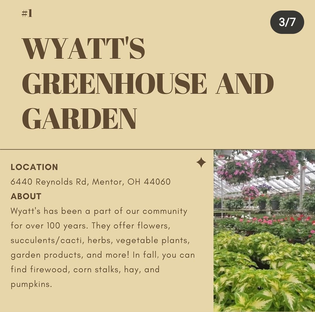 MHS_GreenTeam's tweet photo. Looking to get more pumpkins for fall? Here are some great local places to support when you buy pumpkins and gourds this year. Where do you get your pumpkins? 🍂🎃🍁 #fall #autumn #pumpkins https://t.co/N4c8Nb9Lgw