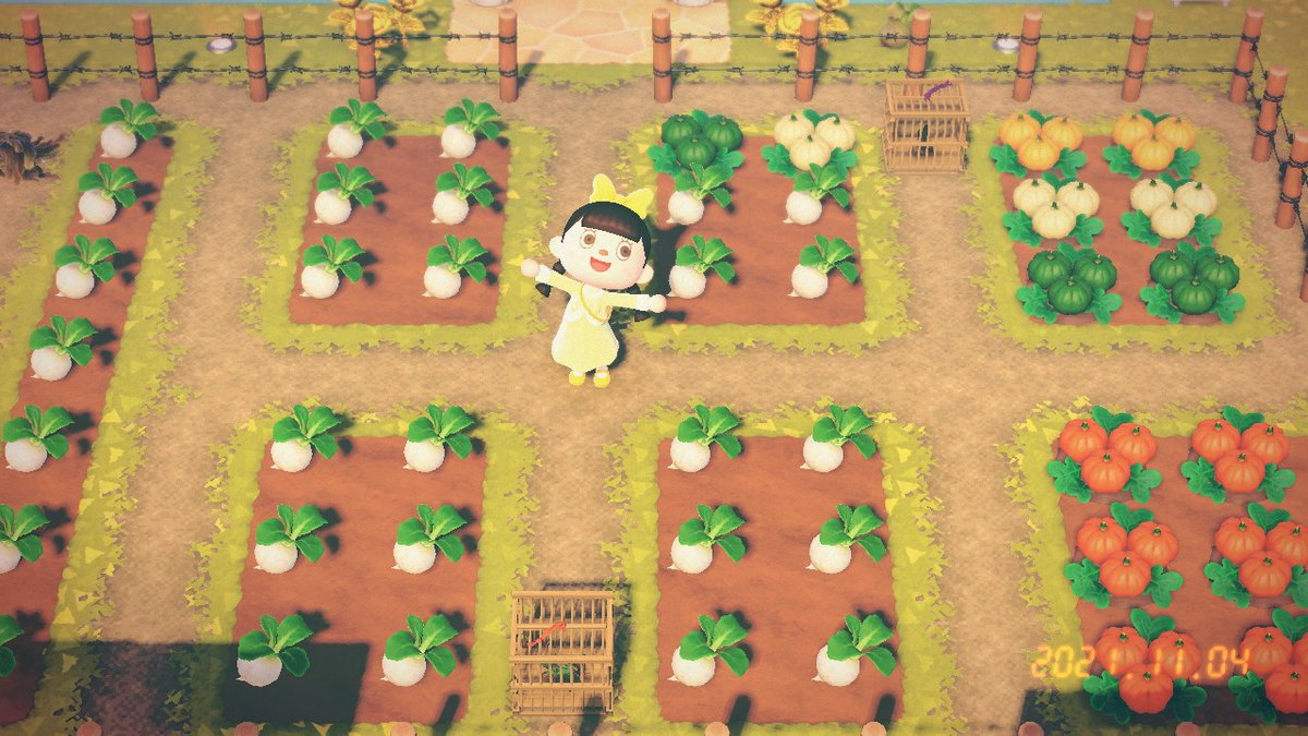 SherryLu33's tweet photo. #动物森友会 #AnimalCrossing #ACNH #NintendoSwitch https://t.co/mfwMh61cEc
