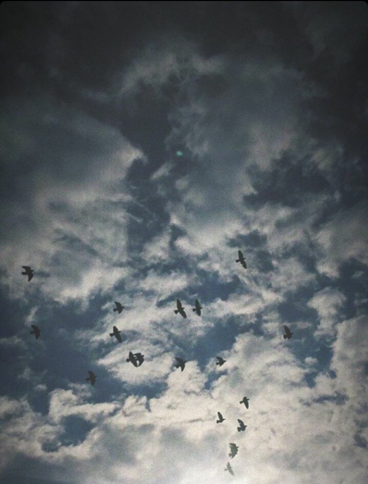 ّ
ّ
ّ
ّ
ّ
ّ
ّ
ّ
ّ
ّ
ّ
ّ
ّ 
إنّ الله لا يُمسِك عنّا فضلَه إِلَّا حين نطلبُ ما ليس لنا أو ما لسنا له.

ّ
ّ
ّ
ّ
ّ
ّ
ّ
ّ
ّ
ّ
ّ
ّ
ّ
ّ