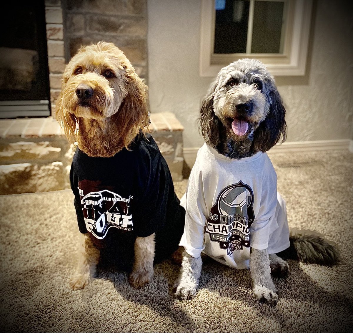 Tim Murphy tweet media