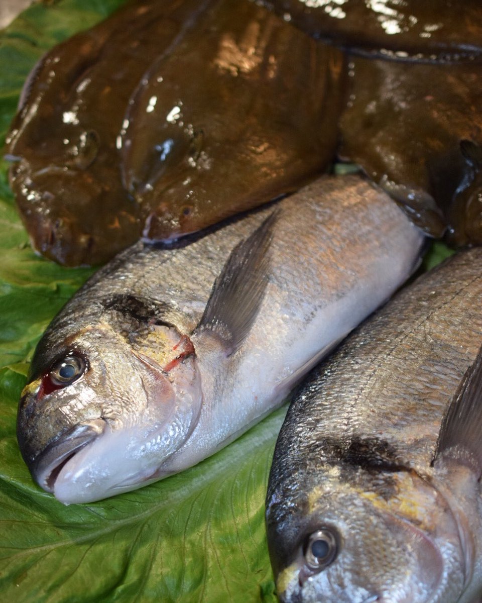 Es jueves, y toca disfrutarlo tan bien como os merecéis 🙌🥰 con producto, nuestra experiencia de más de 36 años y con el trato de nuestro equipo de sala ¡os esperamos!
#LaMontanera 

📍C/Juan Sebastián Elcano 16
Sevilla (Barrio de Los Remedios)