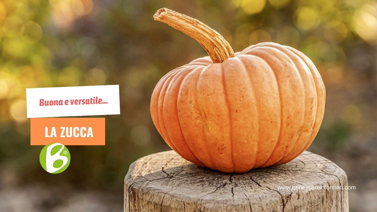 BenessereInfo's tweet photo. Buona e versatile, la zucca è protagonista di molte ricette.  A voi piace questo ortaggio? Qual è la vostra ricetta preferita con la zucca? 
→ Per approfondire: tutte le proprietà, i benefici e le varietà principali https://t.co/ukKApmDkFm https://t.co/6PIyxQsS7O
