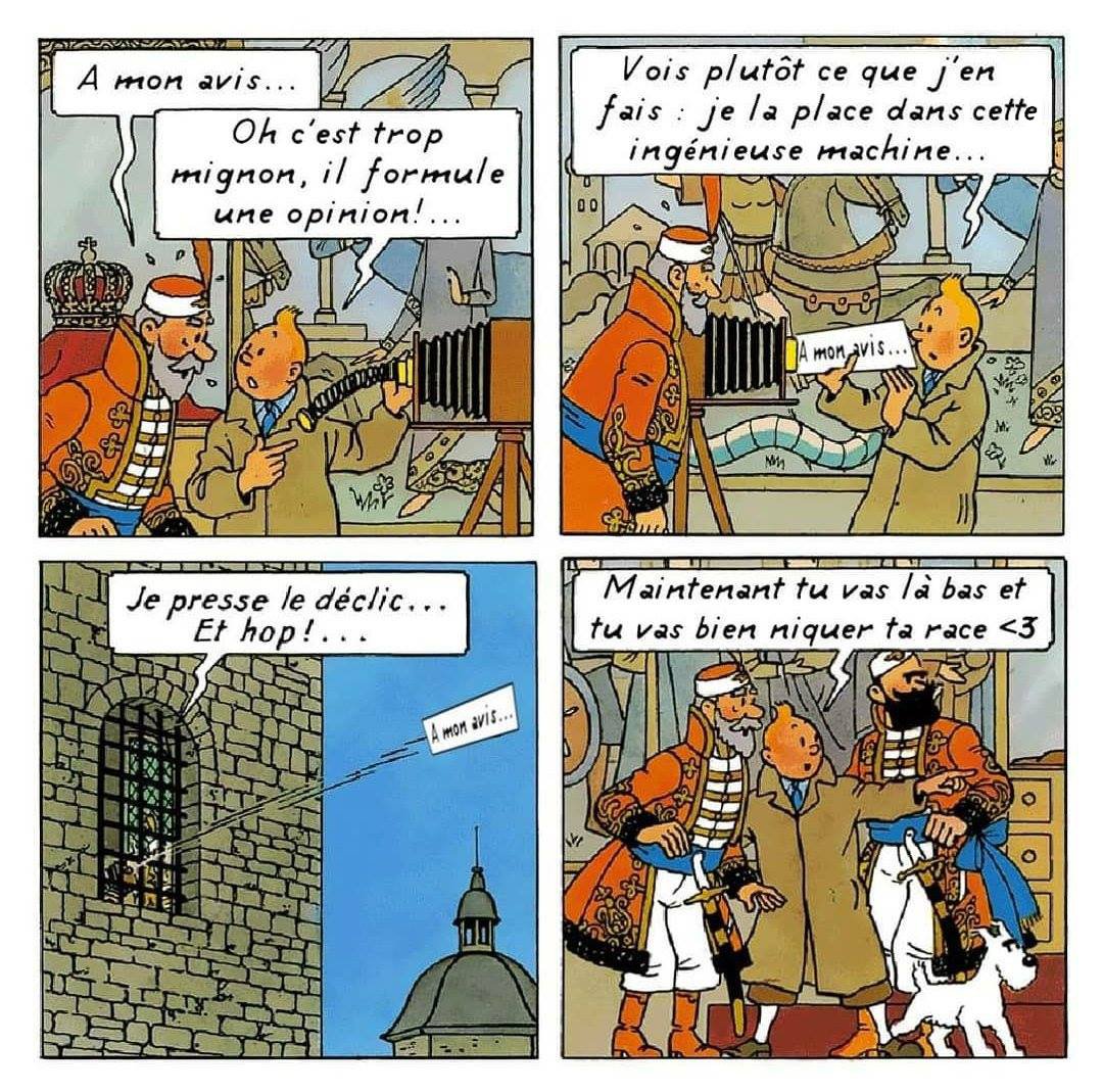 tintinades's tweet photo. ...bon ça m'angoissait cette faute donc la version corrigée 👉👈 https://t.co/YowLxlriDI