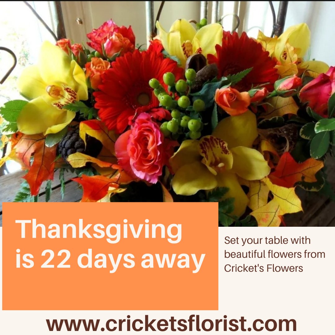 cricketsflowers's tweet photo. It's never too early to start thinking about your holiday hosting plans! When it comes to setting the table, we've got you covered with beautiful floral designs.
Set you table with flowers from Cricket’s Flowers
#BedfordMa #ArlingtonMa #WinchesterMa
#tasteofLexington #shopLex https://t.co/oxFHlKbCzn