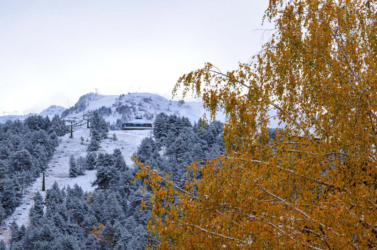 baqueira_beret's tweet photo. ❄️ 23 días ⏳
Del 1 al 10 ¿Cuántas ganas tienes? 

#BaqueiraBeret #Baqueira #Beret #Bonaigua #Baciver #EspirituBaqueira #Temporada21_22 #winteriscoming

📷 04/11/21 Baqueira Beret https://t.co/zl9BHT04UG
