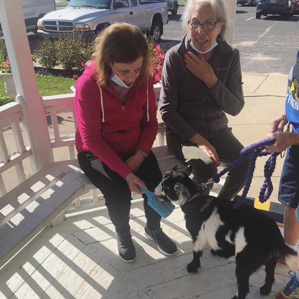 FarmFriendsLLC's tweet photo. The animals enjoyed meeting new friends at an Assisted Living visit! ❤️🐰🎉🐐#animalvisit #assistedliving #memorycare #memorycareunit #rabbits #goats #bunnies #farmfriendsllc #animalassistedactivities https://t.co/JqFtXBVcWC