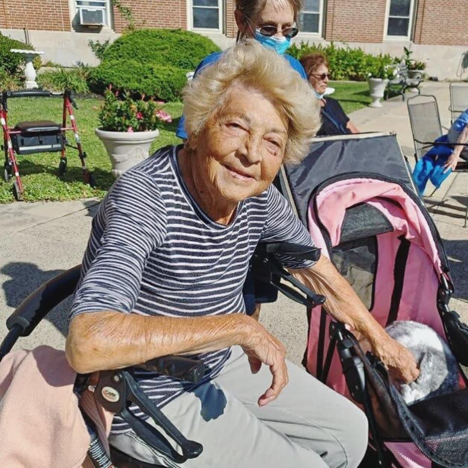 FarmFriendsLLC's tweet photo. The animals enjoyed meeting new friends at an Assisted Living visit! ❤️🐰🎉🐐#animalvisit #assistedliving #memorycare #memorycareunit #rabbits #goats #bunnies #farmfriendsllc #animalassistedactivities https://t.co/JqFtXBVcWC