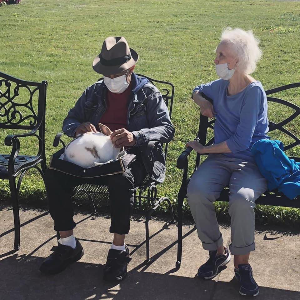 FarmFriendsLLC's tweet photo. The animals enjoyed meeting new friends at an Assisted Living visit! ❤️🐰🎉🐐#animalvisit #assistedliving #memorycare #memorycareunit #rabbits #goats #bunnies #farmfriendsllc #animalassistedactivities https://t.co/JqFtXBVcWC