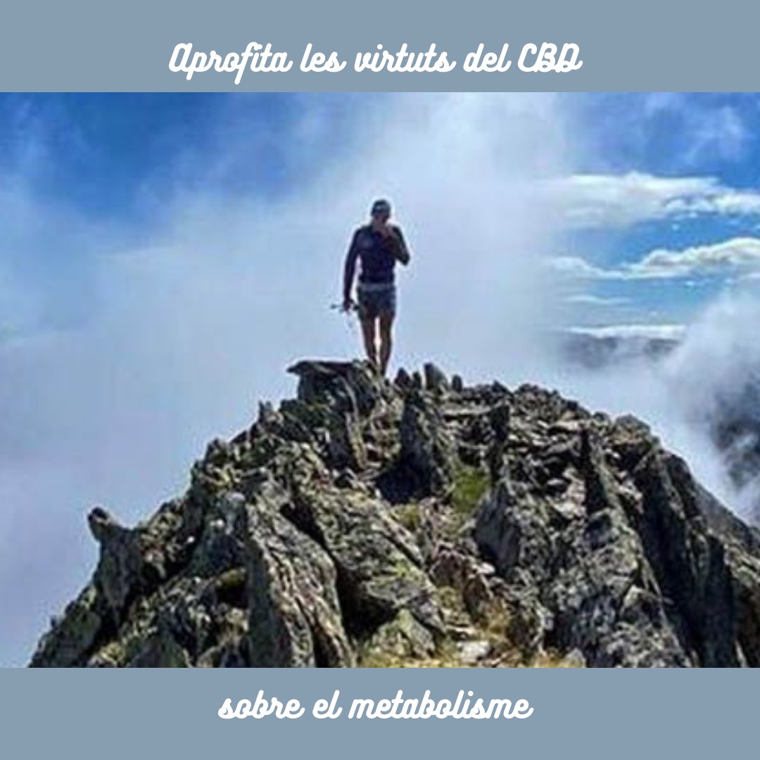 eraverdaCBD's tweet photo. Cannabidiol per a esportistes.
Aprofita les virtuts del CBD en el metabolisme.
#cannabidiol #cbd #cbddeporte #cbdsports #cbdbenefits #cbdsportrecovery #antiinflammatory #antiinflamatorio #recovery #analgesic #analgesico #recuperador #calmante #relaxante https://t.co/gH5Fjz62BG