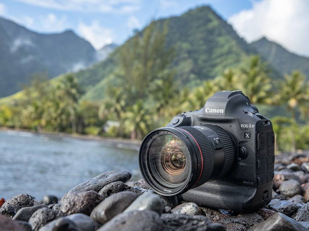 NbtTech's tweet photo. फोटोग्राफी के लिए बेस्ट हैं ये टॉप DSLR कैमरा, फीचर्स ऐसे जो उड़ा दें होश, कीमत 2,35,995 रुपये से शुरू
https://t.co/vT7az14kFQ
#BestDSLRCamera #NikonCamera #CanonCamera #DSLRCamera https://t.co/M8eWDQbZdr