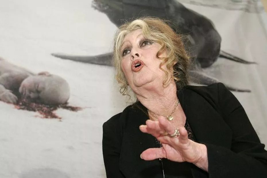 la1ere's tweet photo. ⚖️ #LaRéunion : Brigitte Bardot est condamnée à 20 000 € d’amende pour ses propos racistes

🔶 En mars 2019, elle avait lancé une salve de propos insultants sur la population réunionnaise et ses prétendus "gènes de sauvages"

📱💻 https://t.co/5tPP6Yqt8S https://t.co/MJfM23Mgpy